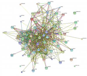 stringNetwork_Cluster G