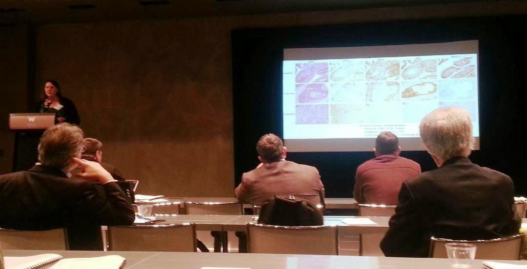 Dr. Gretchen Hubbard presents at the 2014 Prostate Cancer Research Program Retreat.